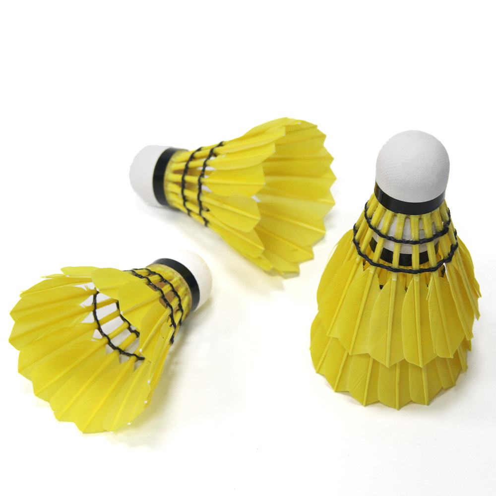 Bunte, individuell gestaltbare – Badminton Tournament Bewertung und Preis